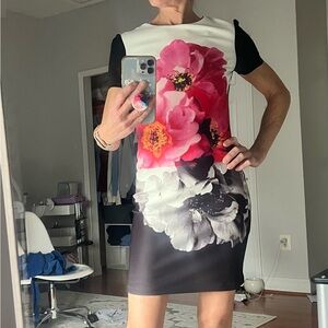 Vince Camuto Kentucky Derby dress NWT